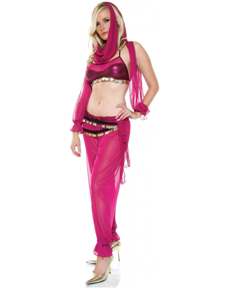 Harem Nights Belly Dancer Girl Costume