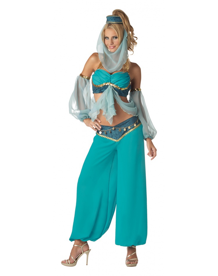 Harems Jewel Belly Dancer Jasmine Arabian Genie Costume 