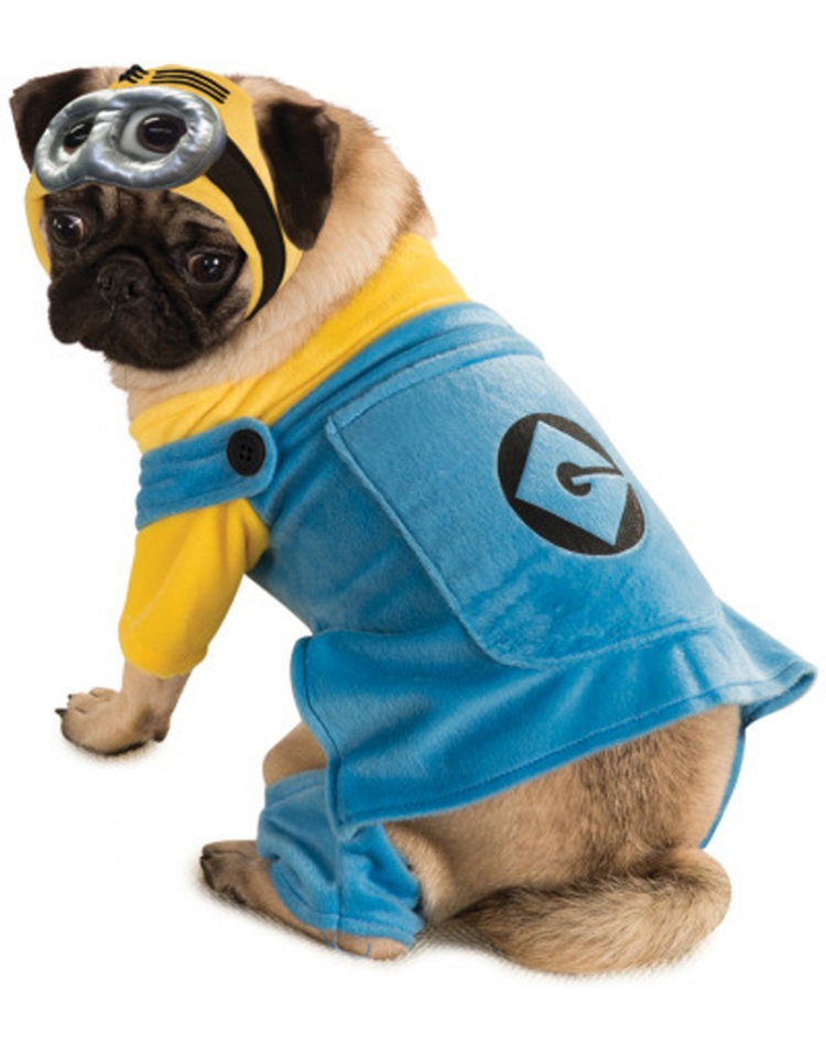 minion costumes for cats